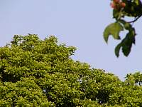 P5068250.JPG